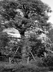 泰宁注册公司